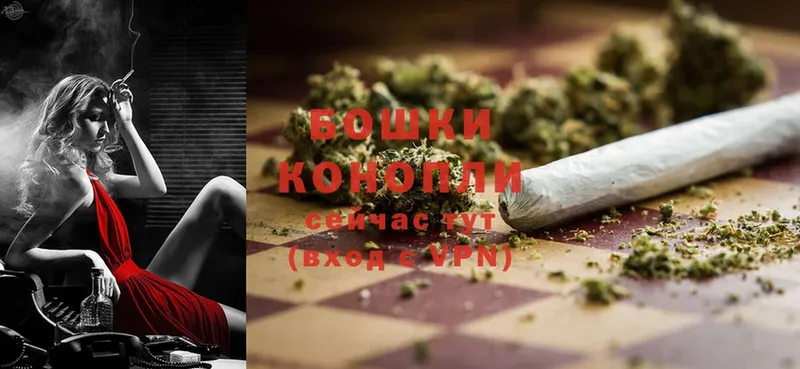 Канабис OG Kush  Белоозёрский 